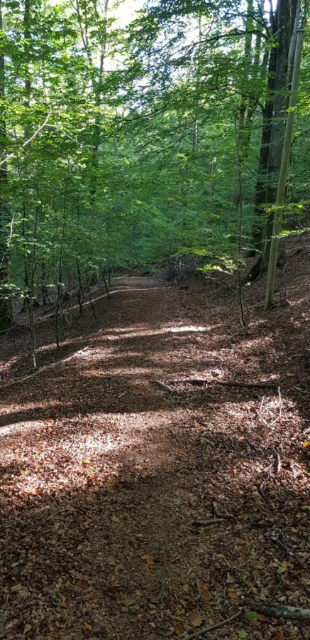 Kågeröd Lill Hagahus, Soederasens Nationalpark 빌라 외부 사진