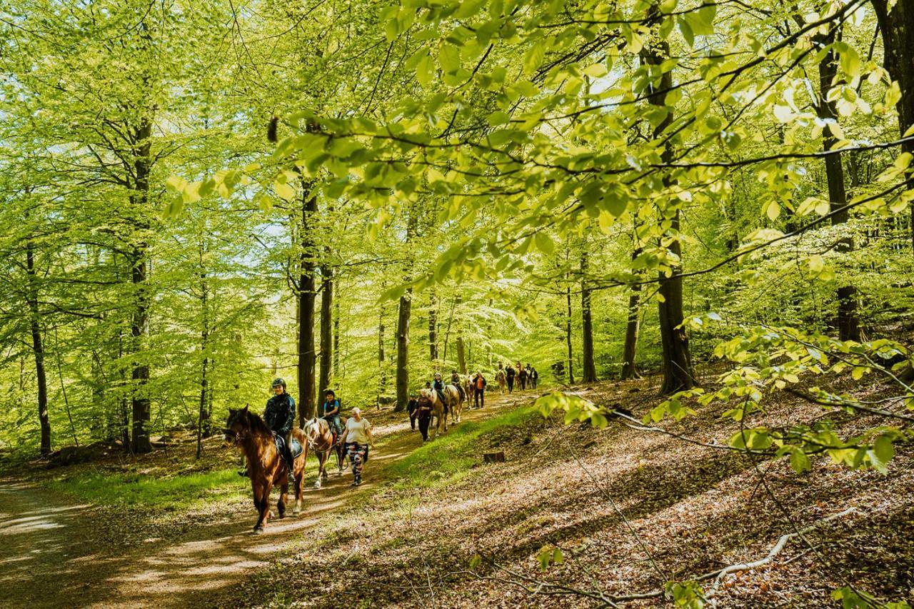 Kågeröd Lill Hagahus, Soederasens Nationalpark 빌라 외부 사진