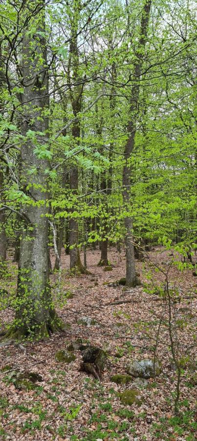 Kågeröd Lill Hagahus, Soederasens Nationalpark 빌라 외부 사진